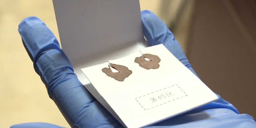 福建孕期亲子鉴定中心去哪查找,