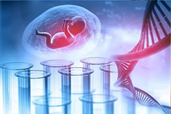 福建省孕期亲子鉴定正规机构去哪里，福建省孕期的亲子鉴定准确吗